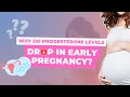 Why do progesterone levels drop in early pregnancy