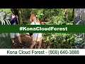 Kona Cloud Forest Voted Attraction in Kona Hawaii