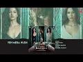Baaghi 4: Yeh Mera Husn (Audio) | Tiger S, Harnaaz, Sanjay D, Sonam B | Shilpa R, Tanishk B, Sameer