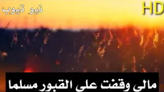 مالي وقفت على القبور اسلام صبحي 