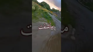 يا ابن الخال واشهدلك حالات واتس اب قصيرة 