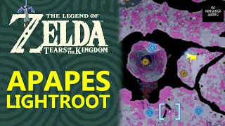Apapes Lightroot in Zelda ToTK - How to Reach Depths East of Hyrule Castle Near Sepapa Shrine