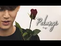 Download Lagu [FMV] PELANGI || KIM MINGYU