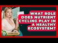 What Role Does Nutrient Cycling Play In A Healthy Ecosystem - Explaining Ecology
