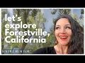 Welcome to Forestville CA A Town for Nature-Loving Families