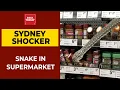 Sydney Woman Comes Face-To-Face With A Python In Supermarket