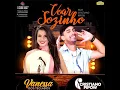 Download Lagu Novo Cd Vanessa Dos Teclados  :Voar Sosinho : Feat:\