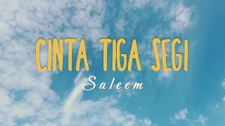 saleem cinta tiga segi video lirik 