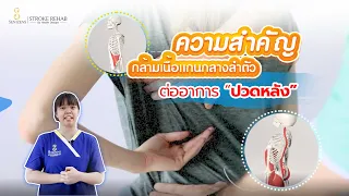 กล้ามเนื้อแกนกลางมีผลต่อการเคลื่อนไหวของแขนขาอย่างไร