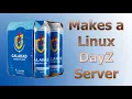 Realtime installation of a DayZ Server for Linux using Ubuntu Server 24 04 4 with No GUI in 2026