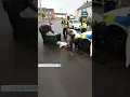 Download Lagu Police share bodycam footage after clip of them putting a dog in a bin was shared #coventry #dog #uk