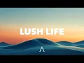 Download Lagu Zara Larsson - Lush Life (Lyrics)