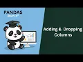 Adding and Dropping Columns in Pandas Python Pandas Tutorial for Beginners Telugu