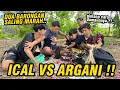 Download Lagu ICAL VS ARGANI !! Dua barongan ini ternyata gak mau akur