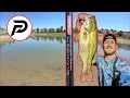 PLUSINNO Telescopic Rod Reel Combo TEST and REVIEW