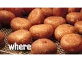 Hawaiian Dining Malasadas