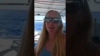 Day 4 sailing to New Zealand