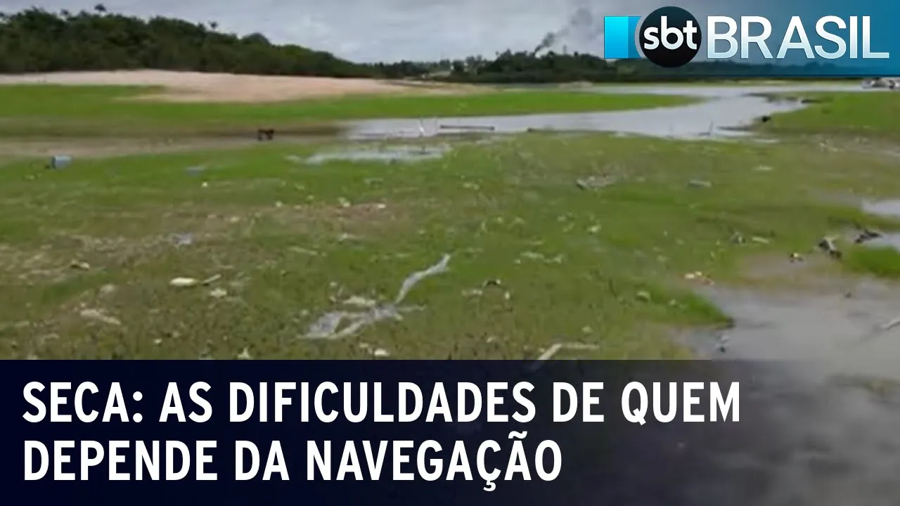 Seca no Amazonas afeta o transporte pelos rios | SBT Brasil (24/10/23)