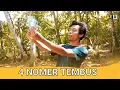 Download Lagu KOSING #25 | KOMEDI SINGKAT | TEMBUS 4 NOMER