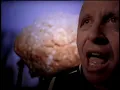 The Presidents of the United States of America - Lump (Version B) (Official HD Video)