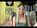 Natal Moon Trine Sextile Venus Pleasing Soothing Energy