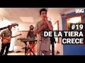 Zona Ganjah - De La Tierra Crece Experiencia Streaming I Con
