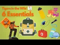 Six Essentials
