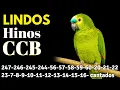 HINOS CCB 247-246-245-244-56-57-58-59-60-20-21-22-23-7-8-9-10-11-12-13-14-15-16-17-18 cantados