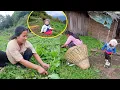 Download Lagu Jina \u0026 Manjita cutting pig food near Jina's first shelter@pastorallifeofnepal