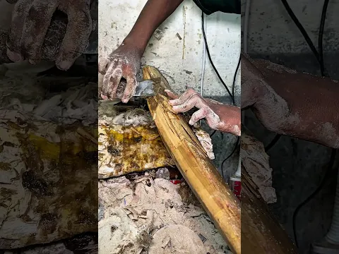 From Completely Damaged to Like New | Incredible Cricket Bat Restoration