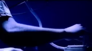 the cat empire the lost song official video 