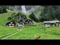 Download Lagu Garhwali song ( Maya ki kungli)❤️❤️😍
