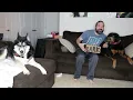 BarkBox December 2023 Unboxing Review Christmas