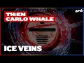 TH EN Carlo Whale - Ice Veins Extended Mix