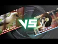 Download Lagu JALAK SUREN VS JALAK PUTIH