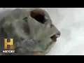 ABNORMAL CREATURE CAUGHT ON CAMERA - This is NOT a Human The Proof Is Out There