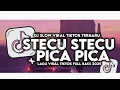 Download Lagu DJ STECU STECU X PICA PICA SLOW VIRAL TIKTOK FULL SONG MAMAN FVNDY 2025