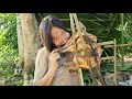 Download Lagu Homeless single mother catches stream fish to grill and eat and makes temporary shelter in the woods