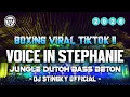 Lagu BOXING MEDAN TERBARU !! DJ VOICES IN MY HEAD X STEPHANIE JUNGLE DUTCH FULL BASS BETON TERBARU 2026