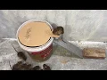 Download Lagu Menjebak tikus dengan kertas karton dan wadah plastik sederhana. 20 tikus terperangkap