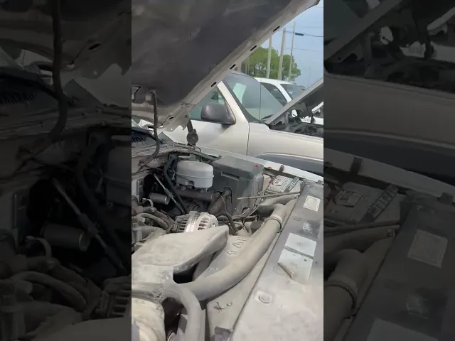 View Video
