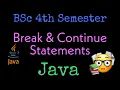 Break Continue Statements Jumping Statements BSc 4th Semester JAVA Computer Science AP
