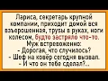 Download Lagu Как Ларису шеф на ковёр вызвал! Сборник свежих анекдотов! Юмор!