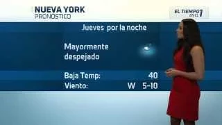 NY1 Weather Christmas Week with Chastelyn