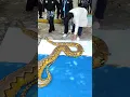 Watch till the end