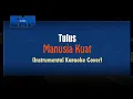 Download Lagu Tulus - Manusia Kuat (KARAOKE TANPA VOCAL)