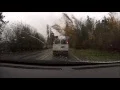 Trees Falling Compilation