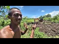 Download Lagu PAK DUTA FULL SMILE! LAHAN DIBERSIHKAN FULL, EXCAVATOR BUAT KOLAM IKAN DI BAGIAN BELAKANG LAHANNYA.