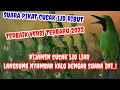 Download Lagu SUARA PIKAT CUCAK IJO RIBUT TERBARU 2022