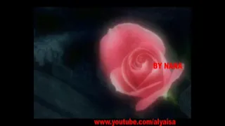 شيماء الشايب رجعت ليه 